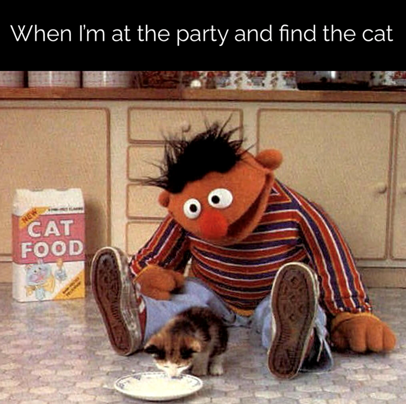 NEW When I'm at the party and find the cat CAT FOOD