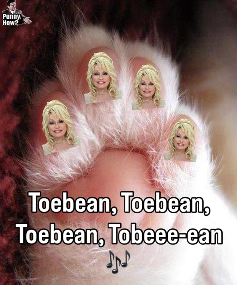 Punny How? Toebean, Toebean, Toebean, Tobeee-ean