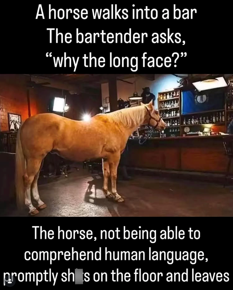 A horse walks into a bar The bartender asks, "why the long face?” The horse, not being able to comprehend human language, promptly shots on the floor and leaves