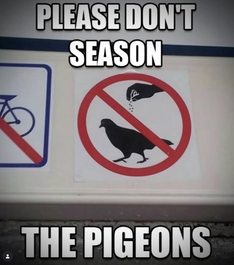 PLEASE DON'T SEASON THE PIGEONS