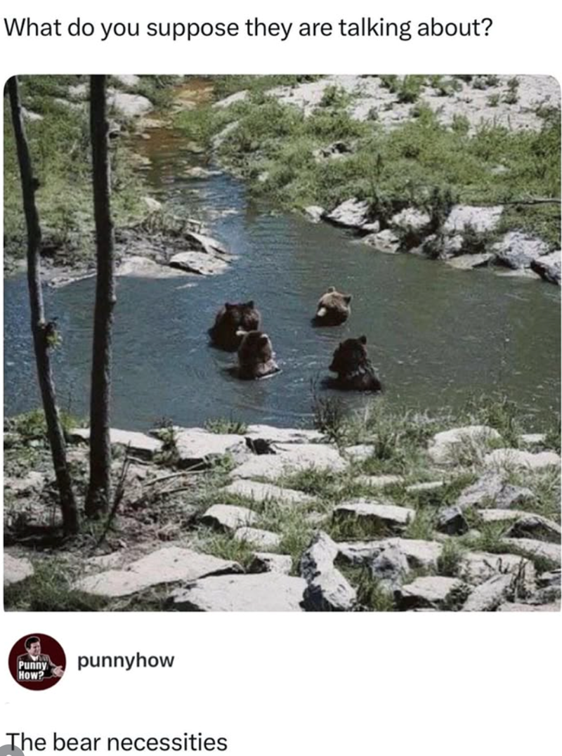 What do you suppose they are talking about? Punny How? punnyhow The bear necessities