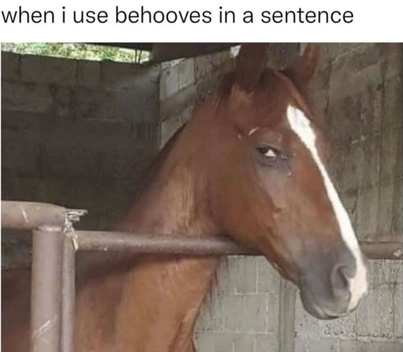 when i use behooves in a sentence