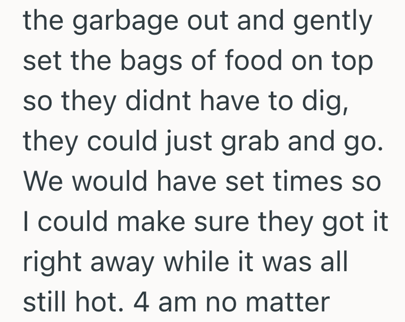 the garbage out and gently set the bags of food on top so they didnt have to dig, they could just grab and go. We would have set times so I could make sure they got it right away while it was all still hot. 4 am no matter