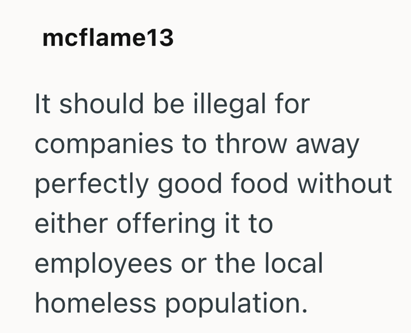 mcflame13 It should be illegal for companies to throw away perfectly good food without either offering it to employees or the local homeless population.