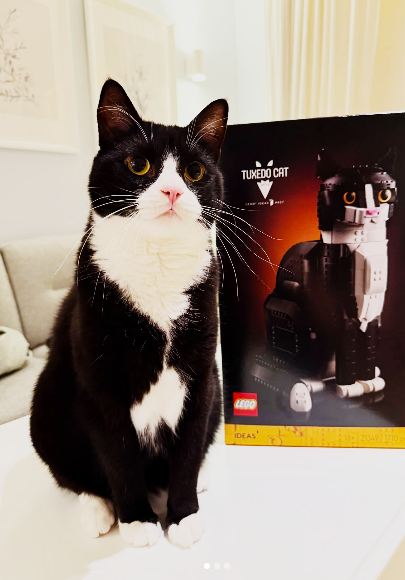 TUXEDO CAT IDEAS