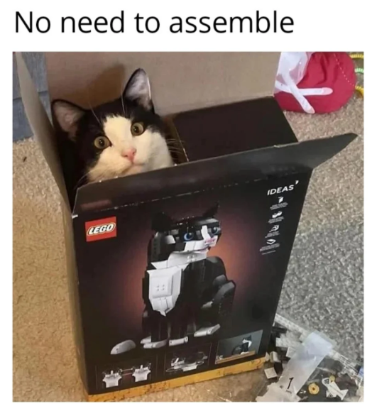 No need to assemble IDEAS LEGO