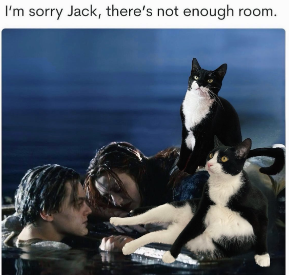 I'm sorry Jack, there's not enough room.