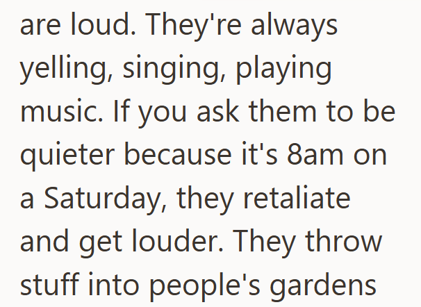 are loud. They're always yelling, singing, playing music. If you ask them to be quieter because it's 8am on a Saturday, they retaliate and get louder. They throw stuff into people's gardens