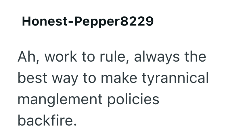Honest-Pepper8229 Ah, work to rule, always the best way to make tyrannical manglement policies backfire.