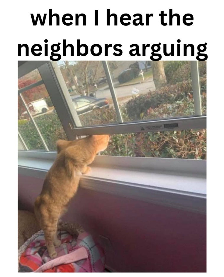 when I hear the neighbors arguing