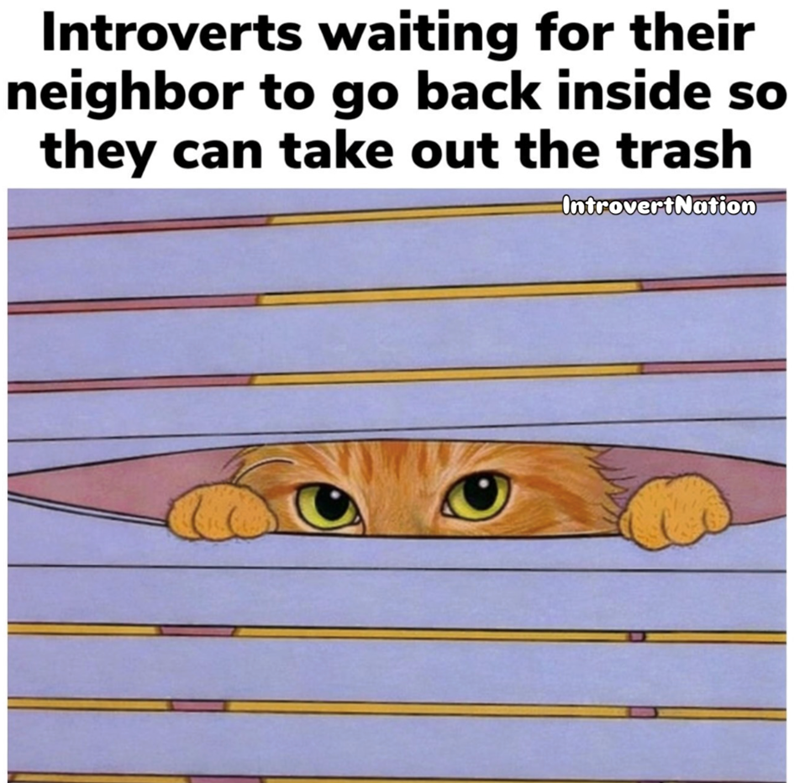 Introverts waiting for their neighbor to go back inside so they can take out the trash IntrovertNation