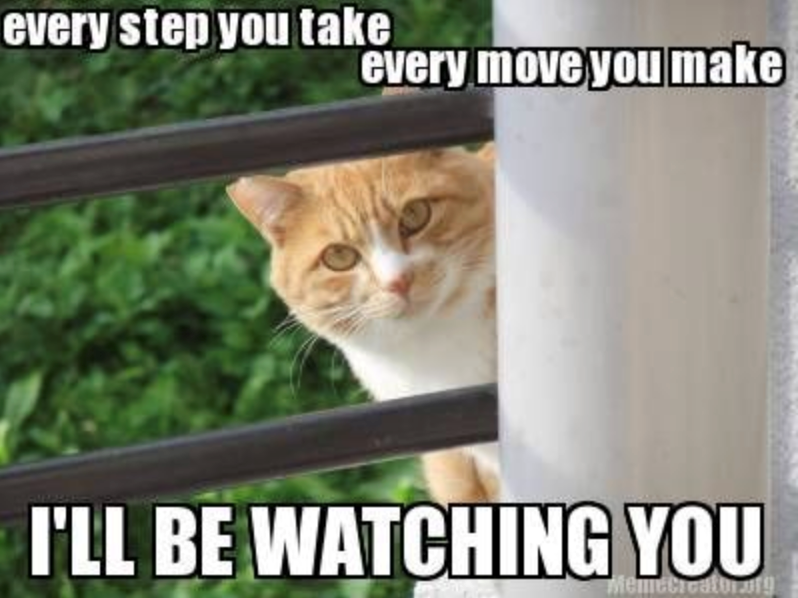 every step you take every move you make I'LL BE WATCHING YOU Memecicator Jo019