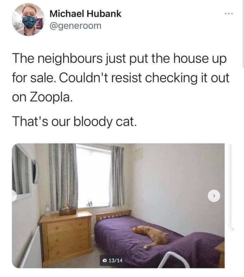 Michael Hubank @generoom The neighbours just put the house up for sale. Couldn't resist checking it out on Zoopla. That's our bloody cat. 13/14