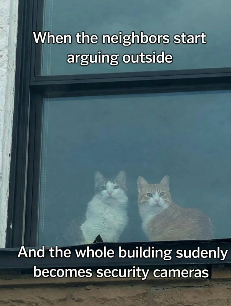 When the neighbors start arguing outside And the whole building sudenly becomes security cameras