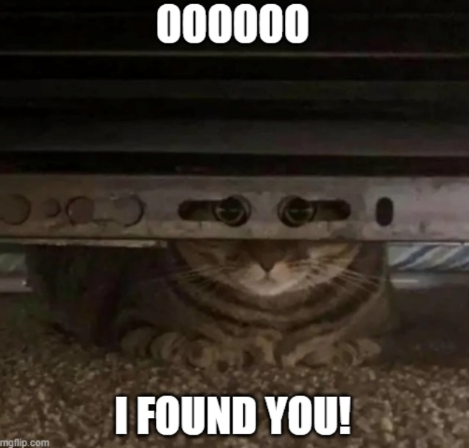 000000 I FOUND YOU! mgflip.com