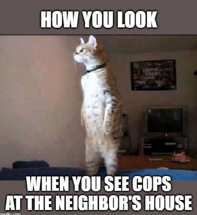 HOW YOU LOOK SPERRIES The FR SIMO WHEN YOU SEE COPS AT THE NEIGHBOR'S HOUSE imaflip.com