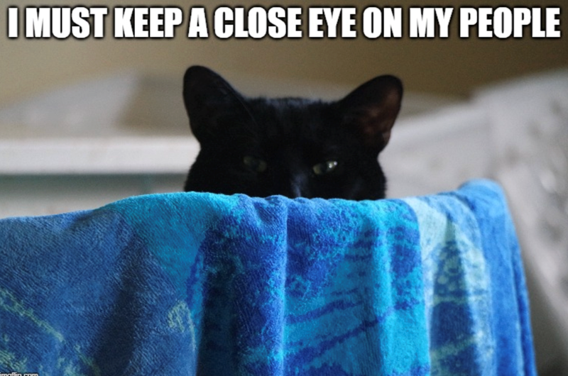 I MUST KEEP A CLOSE EYE ON MY PEOPLE imallin rom
