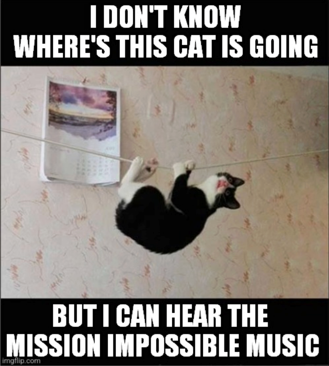 I DON'T KNOW WHERE'S THIS CAT IS GOING BUT I CAN HEAR THE MISSION IMPOSSIBLE MUSIC imgflip.com