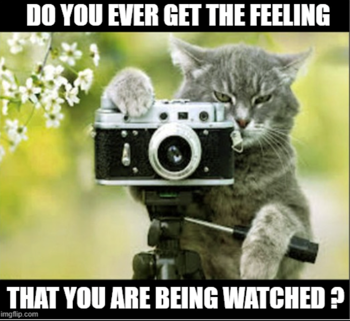 DO YOU EVER GET THE FEELING THAT YOU ARE BEING WATCHED ? imgflip.com