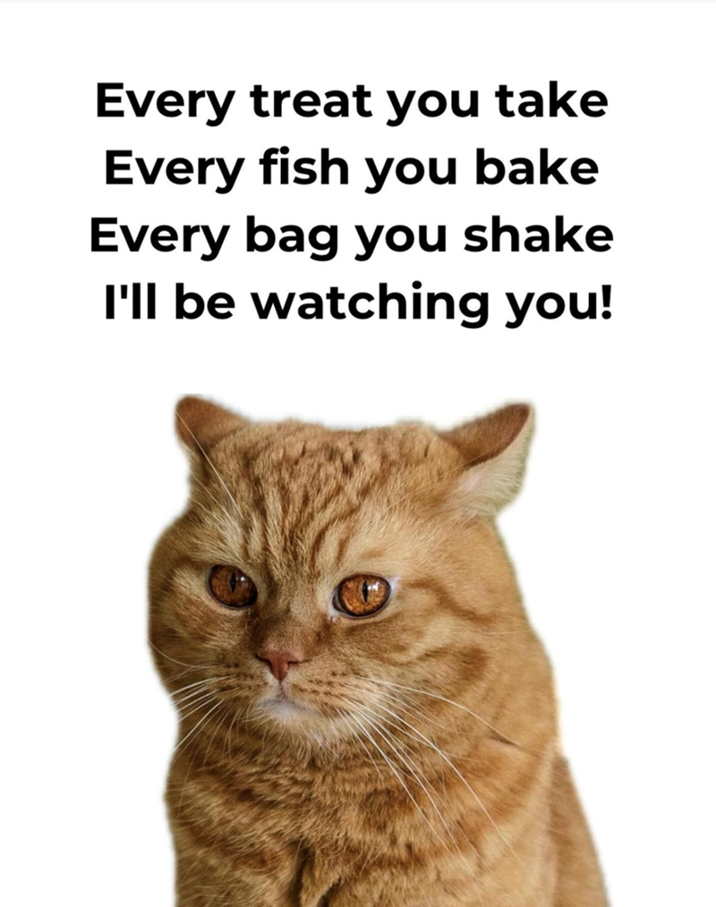 Every treat you take Every fish you bake Every bag you shake I'll be watching you!