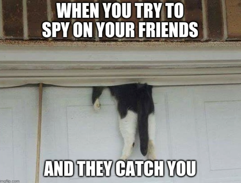 WHEN YOU TRY TO SPY ON YOUR FRIENDS AND THEY CATCH YOU imgflip.com