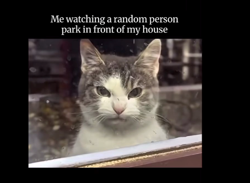 Me watching a random person park in front of my house