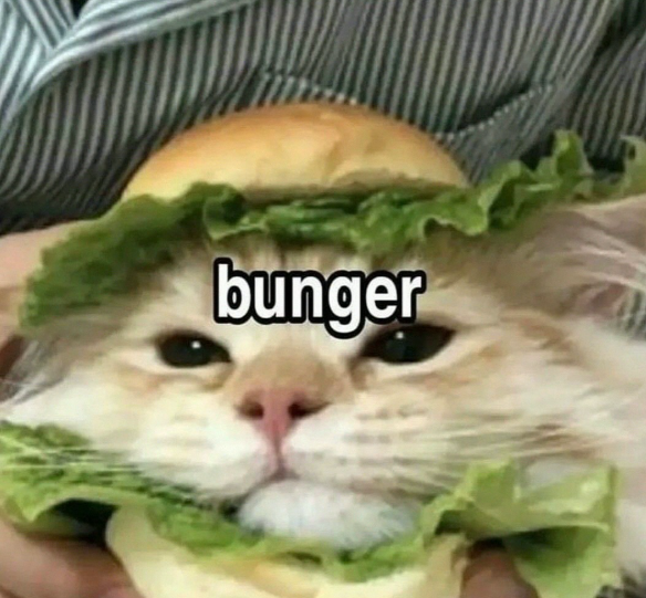 bunger