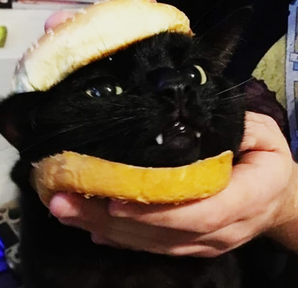 Cheezburger Image 10635455232
