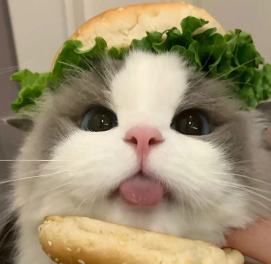 Cheezburger Image 10635455488