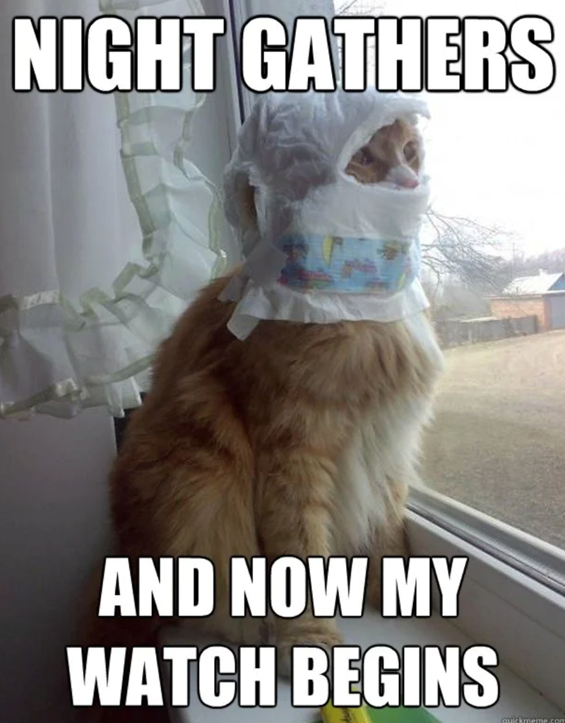 NIGHT GATHERS AND NOW MY WATCH BEGINS quickmeme.com