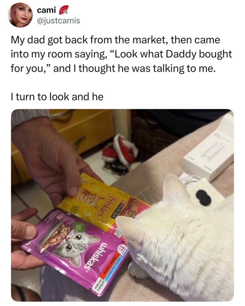cami @justcamis My dad got back from the market, then came into my room saying, “Look what Daddy bought for you," and I thought he was talking to me. I turn to look and he Friskies PURINA Sabor Carne GATOS CASTRADO e whiskas /en Sa