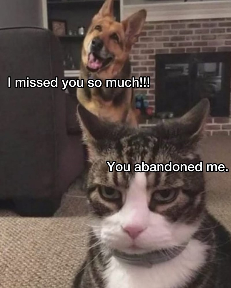 I missed you so much!!! You abandoned me.