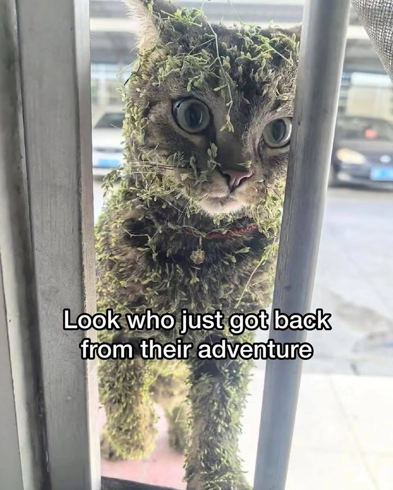 Look who just got back from their adventure