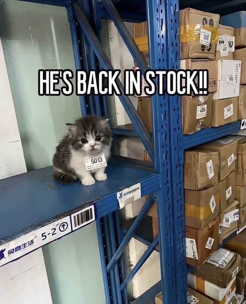 600 HOT HE'S BACK IN STOCK!! 5013 ● 兔鸡生活5-2 FEB&PREM 4006 DS