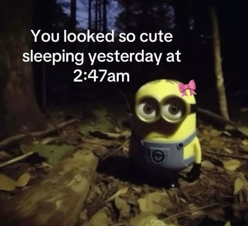 You looked so cute sleeping yesterday at 2:47am