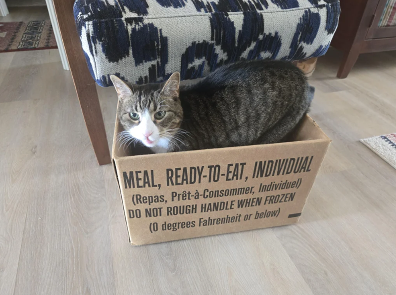 MEAL, READY-TO-EAT, INDIVIDUAL (Repas, Prêt-à-Consommer, Individuel) DO NOT ROUGH HANDLE WHEN FROZEN (0 degrees Fahrenheit or below)