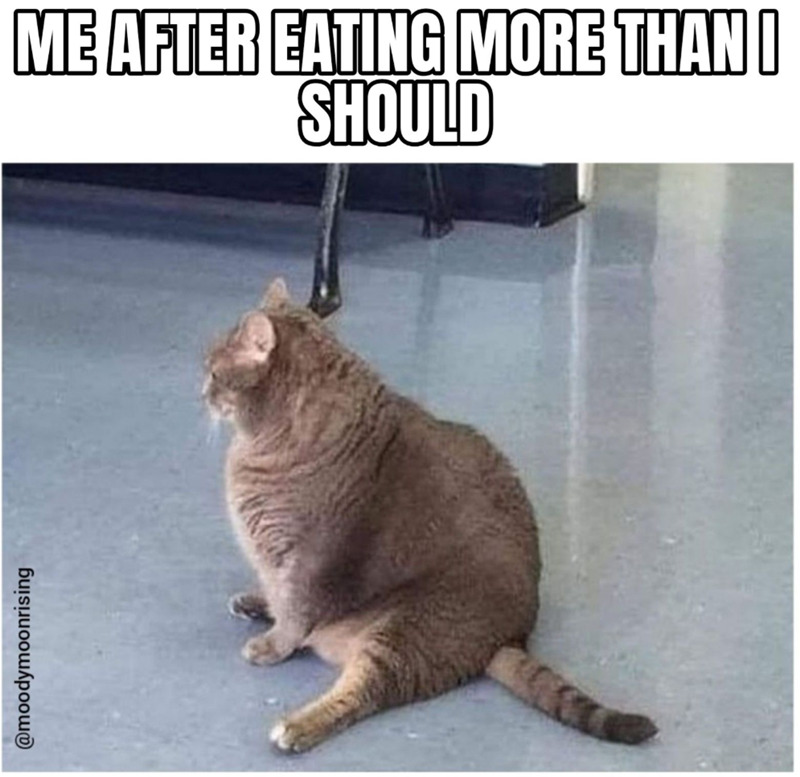 @moodymoonrising ME AFTER EATING MORE THAN I SHOULD