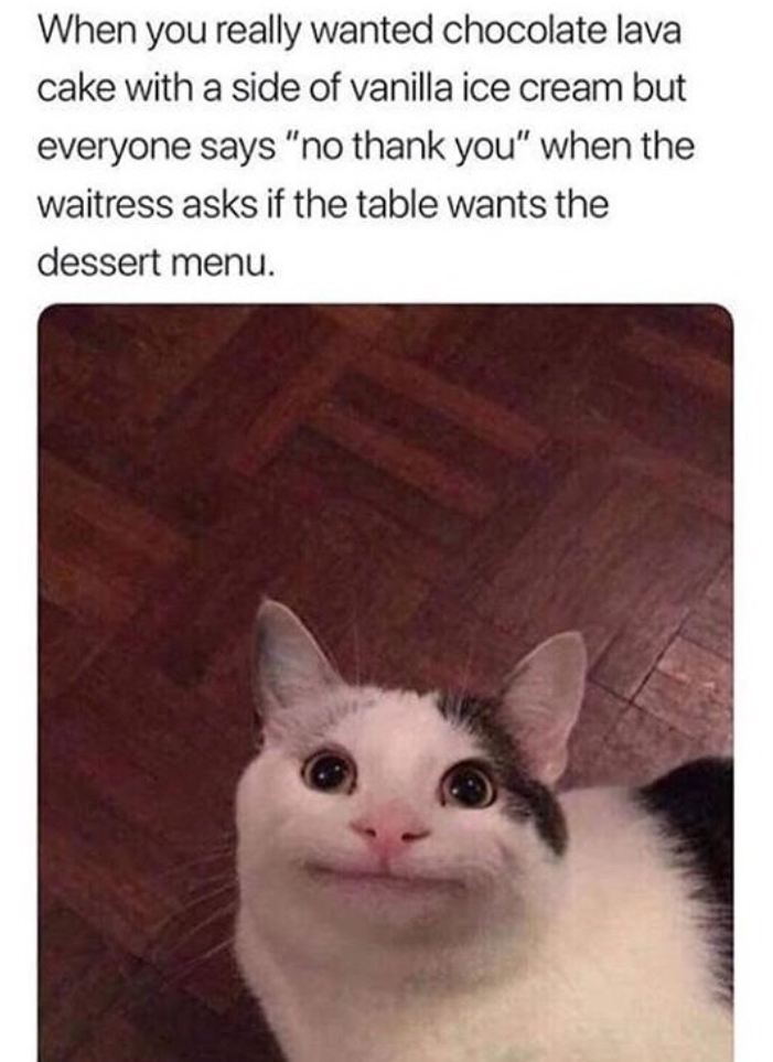 When you really wanted chocolate lava cake with a side of vanilla ice cream but everyone says "no thank you" when the waitress asks if the table wants the dessert menu.