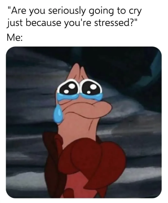 "Are you seriously going to cry just because you're stressed?" Me: G
