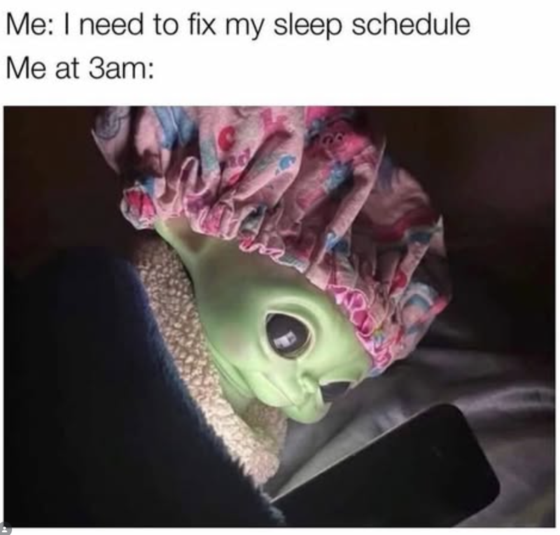 Me: I need to fix my sleep schedule Me at 3am: