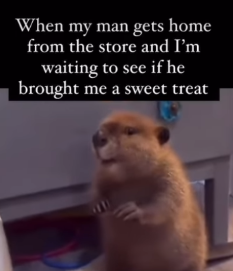 When my man gets home from the store and I'm waiting to see if he brought me a sweet treat