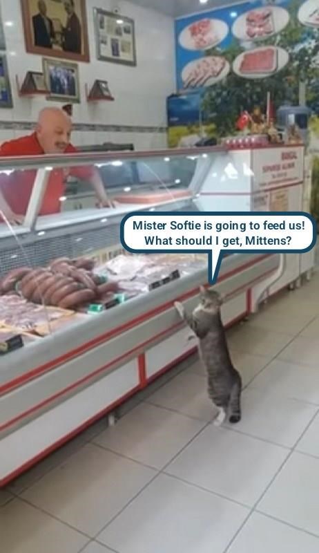 Cheezburger Image 10635536640