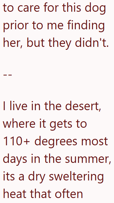 to care for this dog prior to me finding her, but they didn't. I live in the desert, where it gets to 110+ degrees most days in the summer, its a dry sweltering heat that often