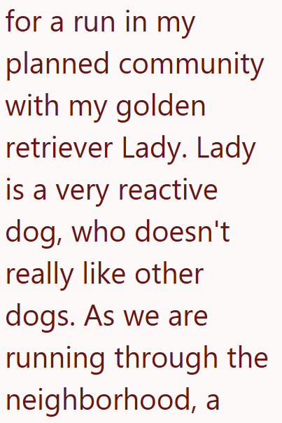 for a run in my planned community with my golden retriever Lady. Lady is a very reactive dog, who doesn't really like other dogs. As we are running through the neighborhood, a