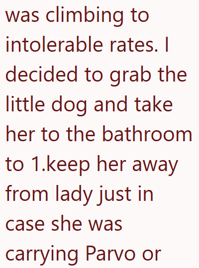 was climbing to intolerable rates. I decided to grab the little dog and take her to the bathroom to 1.keep her away from lady just in case she was carrying Parvo or