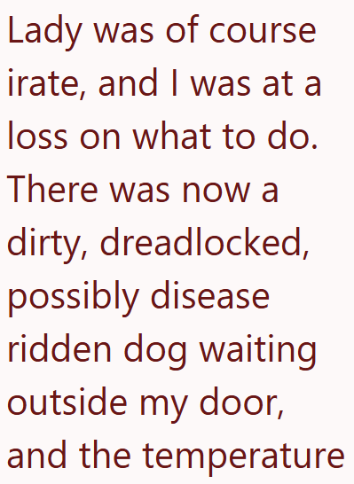 Lady was of course irate, and I was at a loss on what to do. There was now a dirty, dreadlocked, possibly disease ridden dog waiting outside my door, and the temperature