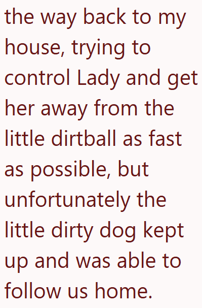 the way back to my house, trying to control Lady and get her away from the little dirtball as fast as possible, but unfortunately the little dirty dog kept up and was able to follow us home.