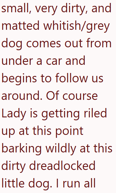 small, very dirty, and matted whitish/grey dog comes out from under a car and begins to follow us around. Of course Lady is getting riled up at this point barking wildly at this dirty dreadlocked little dog. I run all