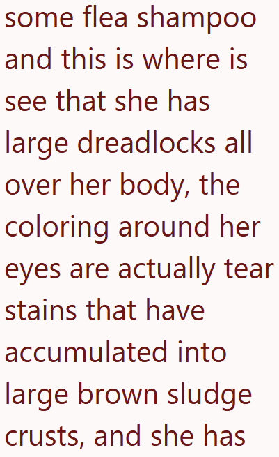 some flea shampoo and this is where is see that she has large dreadlocks all over her body, the coloring around her eyes are actually tear stains that have accumulated into large brown sludge crusts, and she has