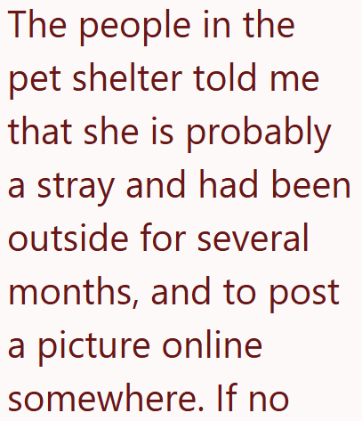 The people in the pet shelter told me that she is probably a stray and had been outside for several months, and to post a picture online somewhere. If no